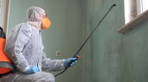 Best Biohazard Mold Removal  in Coldwater, OH