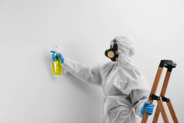 Best Mold Removal for HVAC Installations  in Coldwater, OH