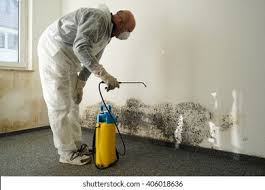 Best Comprehensive Air Testing for Mold Contaminants  in Coldwater, OH